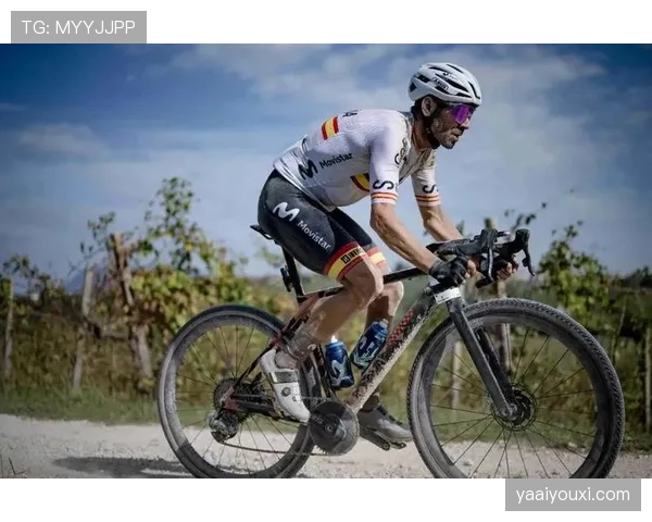 巴尔韦德的战术价值与实际贡献是否存在被高估的现象