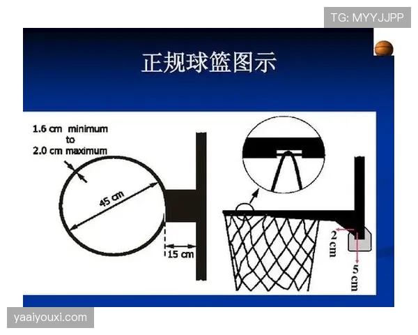 篮球后场规则详解：为什么过中线后再回传算违例